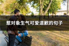 惹对象生气可爱道歉的句子