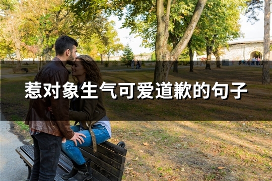 惹对象生气可爱道歉的句子