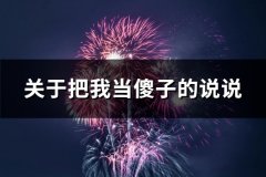 关于把我当傻子的说说