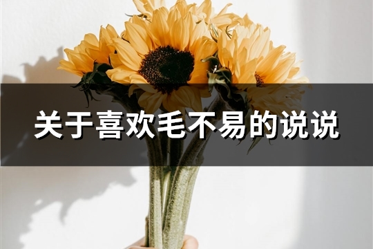 关于喜欢毛不易的说说
