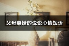 父母离婚的说说心情短语