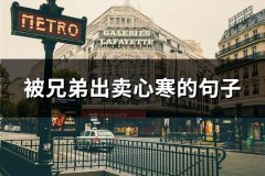 被兄弟出卖心寒的句子