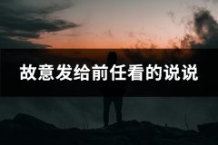 故意发给前任看的说说