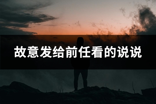 故意发给前任看的说说