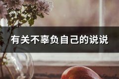 有关不辜负自己的说说