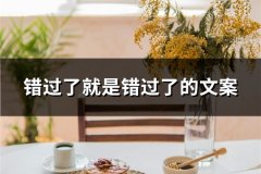 错过了就是错过了的文案