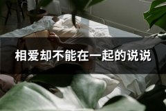 相爱却不能在一起的说说