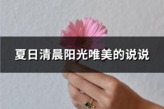 夏日清晨阳光唯美的说说