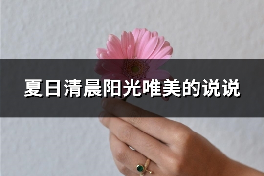 夏日清晨阳光唯美的说说