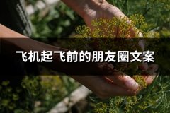 飞机起飞前的朋友圈文案
