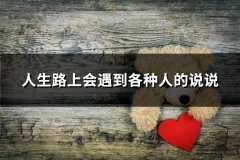 人生路上会遇到各种人的说说
