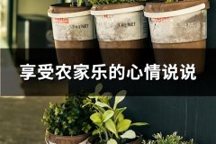 享受农家乐的心情说说
