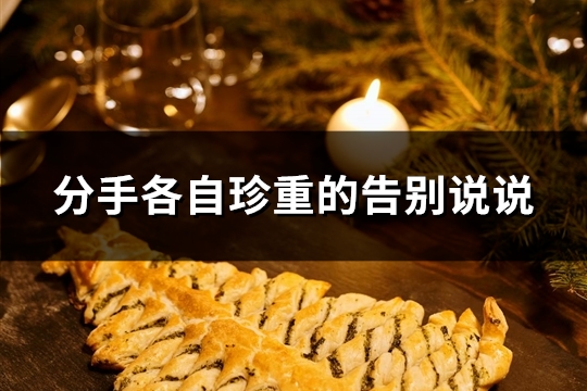 分手各自珍重的告别说说