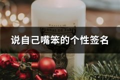 说自己嘴笨的个性签名