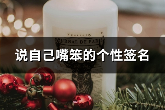说自己嘴笨的个性签名