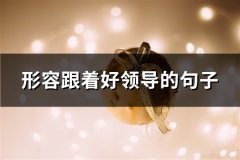 形容跟着好领导的句子